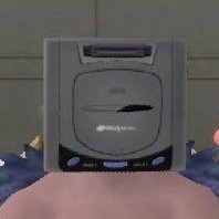 gbsdude