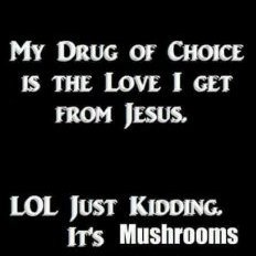 ShroomKing