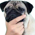 theheroslegend